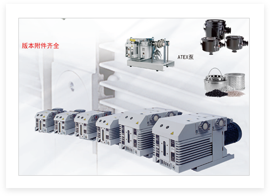 莱宝双级油泵B款；S1.5，D2.5E，D4B，D8B，D16B，D25B，D40B，D65B